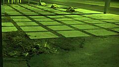 Stranded teen fucked roughly outdoors?