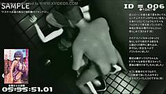 扩展版东方MMD编辑高清大屁股性爱