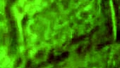 Citor3 femdomination 2 3D VR game walkthrough finale part 2