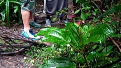 Machos Bent Over In Forest Orgy.