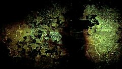 Vintage Erotic Drawings