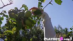 Hayli Sanders: Naked And Revealing All?