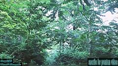 amateurs have real sex in forest tent with tourist fucking