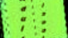 Summertime Saga 155: Erotic Hentai Adventures Await