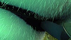 Hentai Vore Animation with Bonus Furry Angles