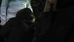 Fun with T-Girls at a Car Park and in a Porn Theater