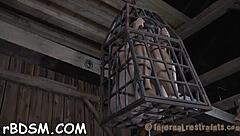 bound in bondage for sadomasochism training and femdom sucking