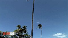 Hot pornstar barbie banks outdoor rough anal fucking. Does she cum hard?