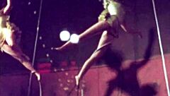 vintage erotic illustration evokes timeless sensual desires