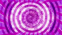 Confused Sissy Worships Cock