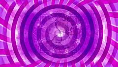 Confused Sissy Worships Cock