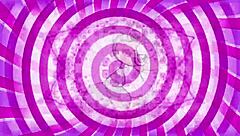 Confused Sissy Worships Cock