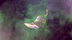 i touched my pussy at lunchtime