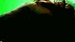 couple where the female gives a blowjob to a big cock