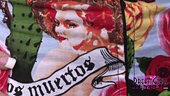 Nerdy cutie flashes shaved pussy outdoors in ybor city