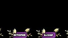 Wait, this is not in input, skipping