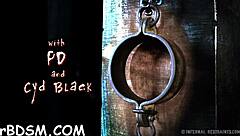 Beauty sucks toes extremely for charming feet