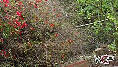 juicy booty blonde slut pounded hard