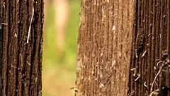 Summer is perfect for watching horny wives flash outdoors 😏