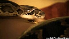 Forbidden Sensual Desires From India