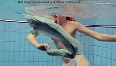 i caught abby vs kaby in a strip horse turning steamy showdown