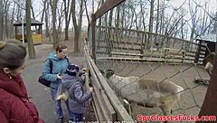 European Amateur POV Screwed in Ass Hard!