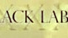 Milf and horny lesbian use toys for tribbing and dildo play on big tits