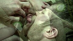 Watch this milf get fucked on the desk with ass licking and blowjob!