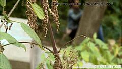 Slutty Teen 18+ Girl Sucking Strangers Cock On Street