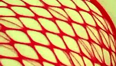 i had unlimited sex on the beach with a latina milf