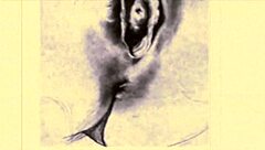 What Secrets Hide in These Vintage Erotic Drawings?