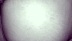 vintage compilation of horny females getting wet pussy fucking and cumshots