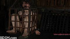 Hard Drubbing For Masked Babe In Bondage