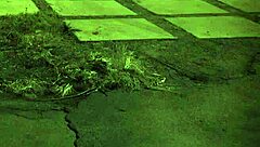 Penny flame experiences rough bondage sex for the first time