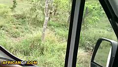 nympho african girlfriend deepthroats white cock after safari