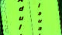 Harem hotel 17 with sexy adventures