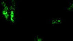 Vintage illustration with erotic elements from antique times