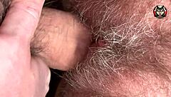 closeup view of hairy pussy during fuck