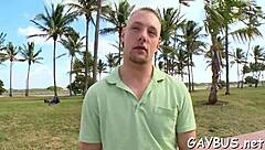 Gay Bear Porn Movie Scenes With Intense Action