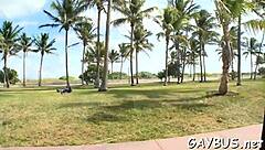 Gay Bear Porn Movie Scenes With Intense Action