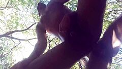 Brazilian couple fucks wildly in the woods with big cocks!