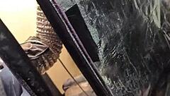 WHAT A LONELY PILLOW!