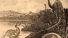 Vintage Drawings That Intrigue and Captivate