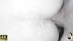 Trailer - my mother-in-law's homemade pet care routine