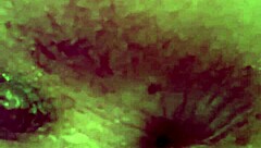 Vibrator Teases Juicy Pussy Lips