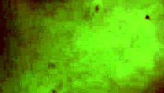 Maid Gives Ass To Black Boss For Raise