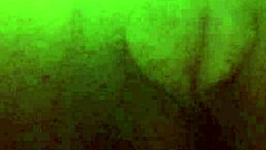 Pretty Ebony Pussy Solo Masturbation Close Up