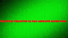 马尾辫婊子被猛干脸，射喉咙