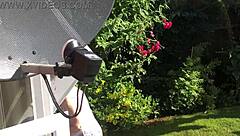 Attractive Neighbor's Friendly Visit