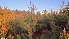 bent over in public, begging not to cum inside